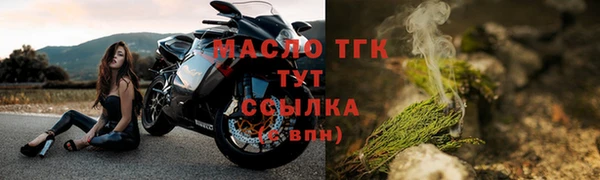 твердый Магас