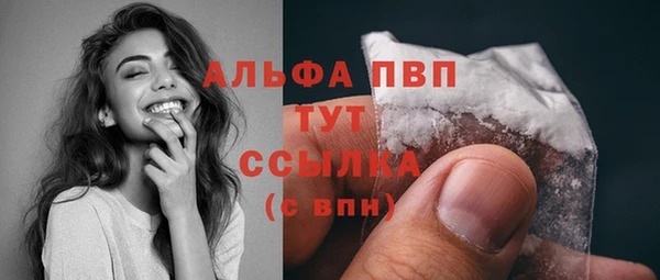шишки Архангельск