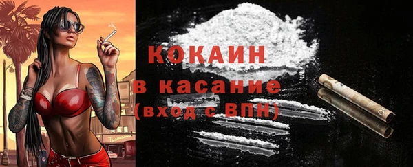 шишки Архангельск